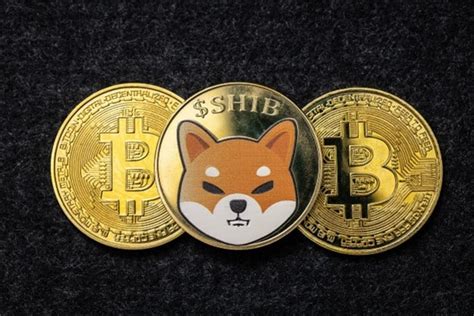 Today's Shiba Inu Coin Price: Latest Updates and Insights on the Trendy Cryptocurrency