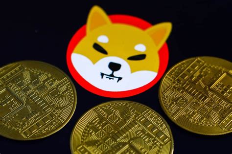 Today's Shiba Inu Coin Price: Latest Updates and Insights on the Trendy Cryptocurrency