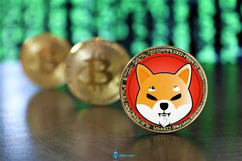 Today's Shiba Inu Coin Price: Latest Updates and Insights on the Trendy Cryptocurrency